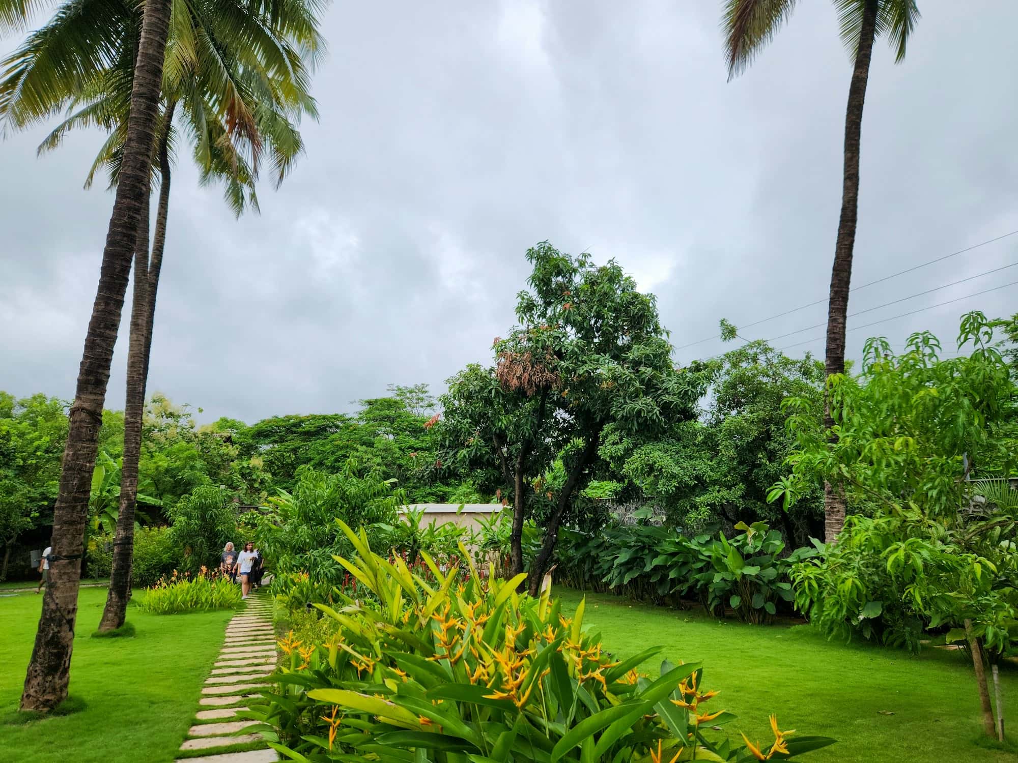 Stepping-stone path across a lawn beside a bed of heliconia and tropical shrubs, with coconut palms under a cloudy sky