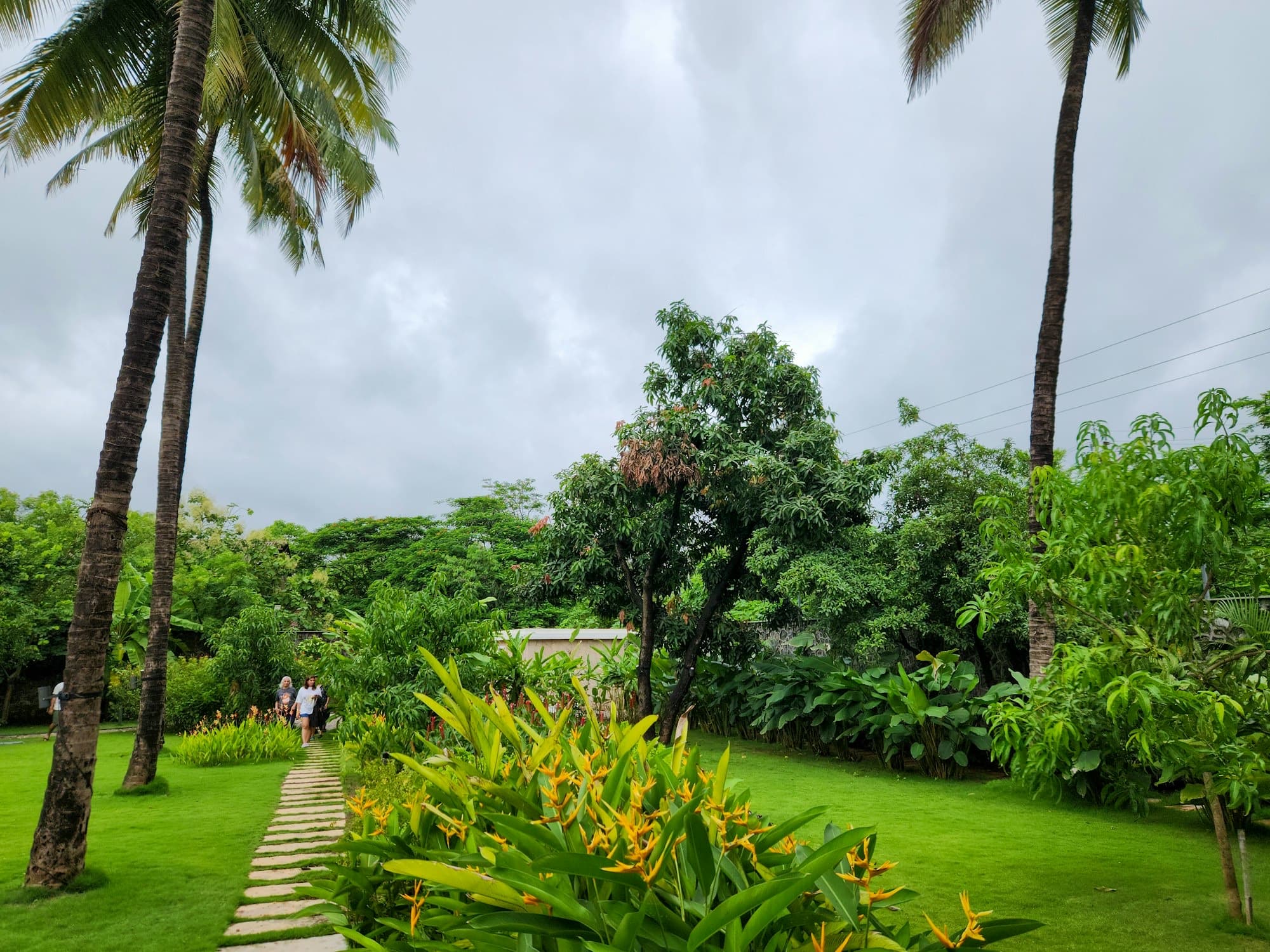 Stepping-stone path across a lawn beside a bed of heliconia and tropical shrubs, with coconut palms under a cloudy sky