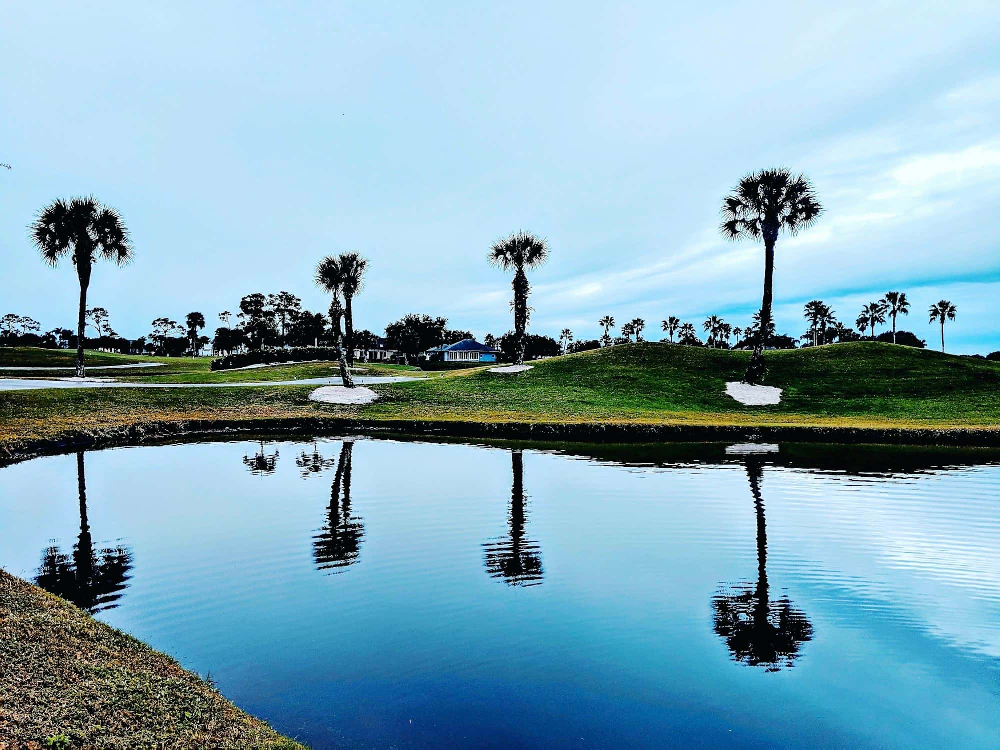Golf course pond reflecting sabal palms, with a green and sand bunkers on the far bank