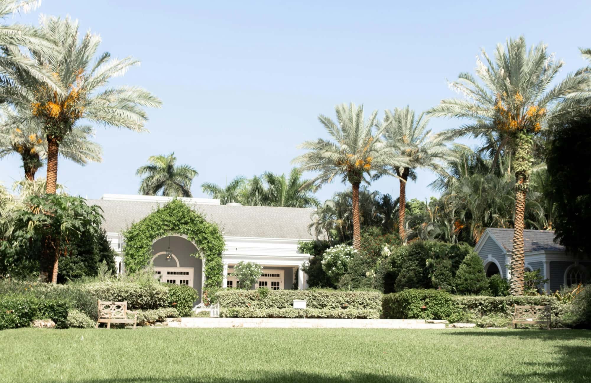 Single-story white house with an arched, vine-covered entry behind low clipped hedges, a wide mown lawn, and tall date palms