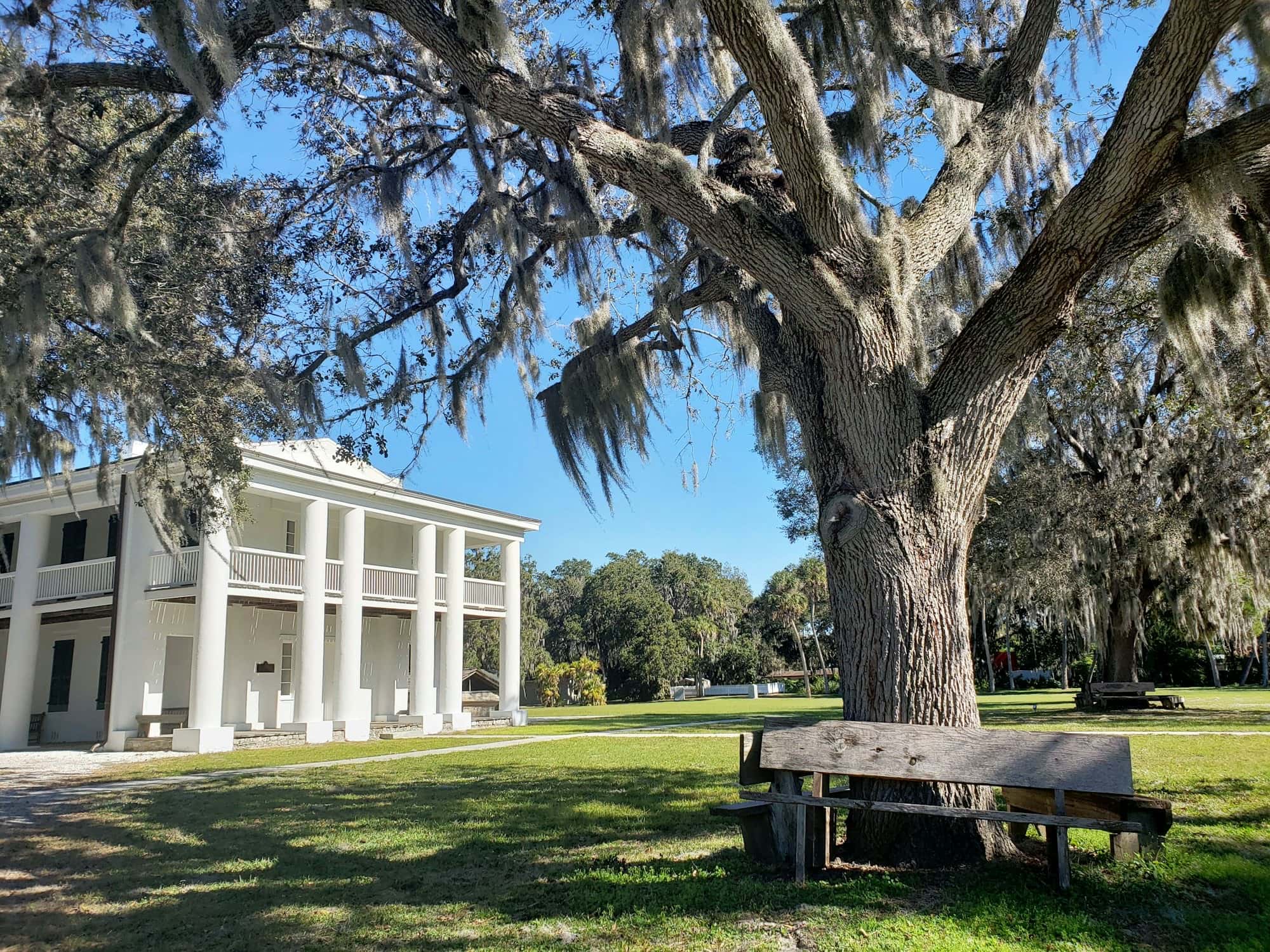 White two-story columned house beside a large live oak draped in Spanish moss, with a wooden bench on the lawn