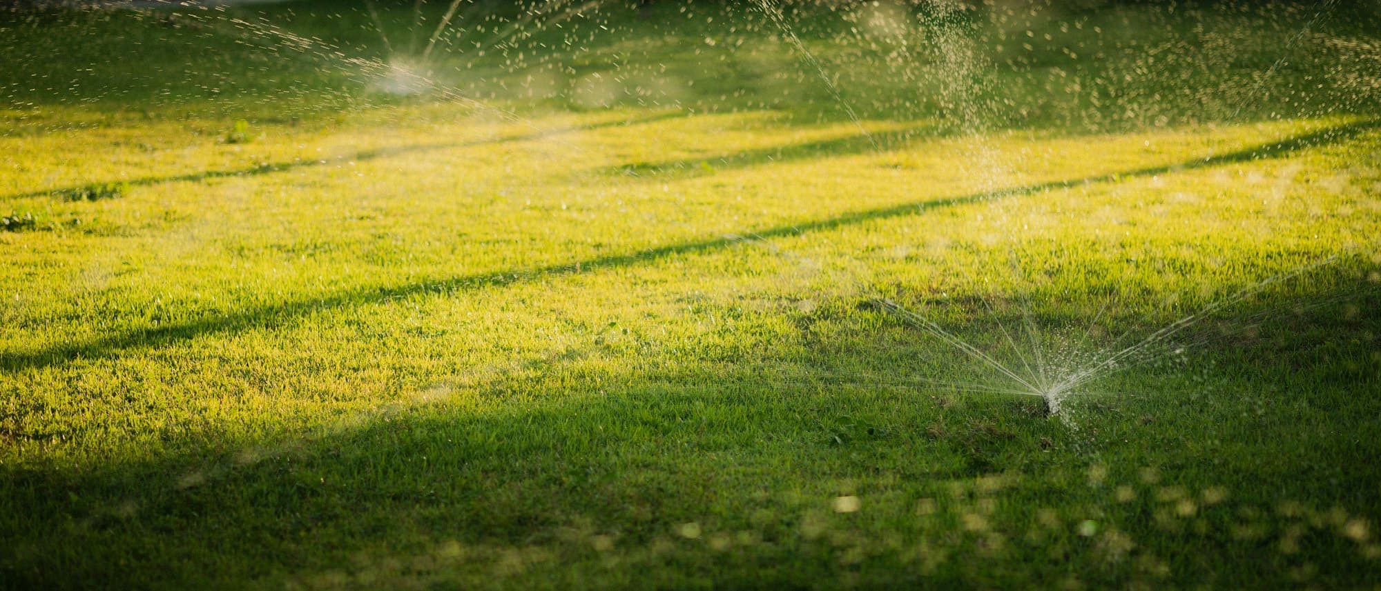 Pop-up sprinkler heads spraying water across a green lawn in low evening light